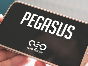 We’re Late Closing the Barn Door on Pegasus