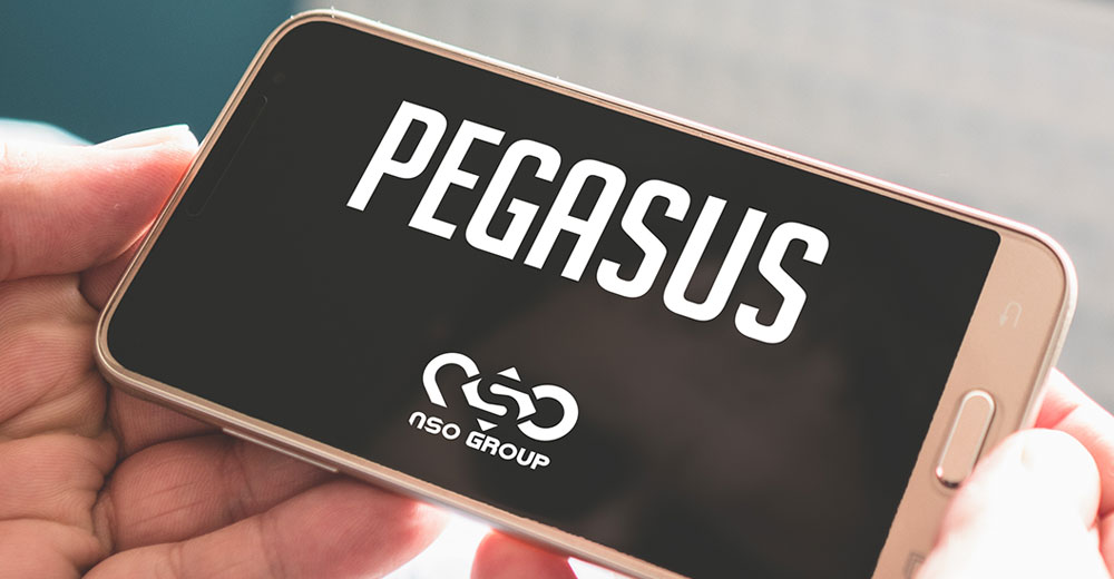 We’re Late Closing the Barn Door on Pegasus