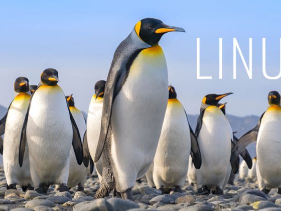 A Linux Safari to Classify the Genus of This Penguin