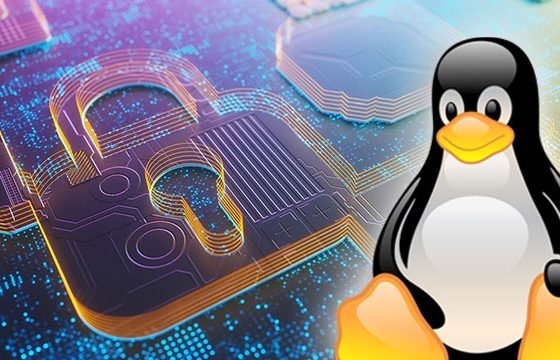 Bolt-On Safety the Linux Approach